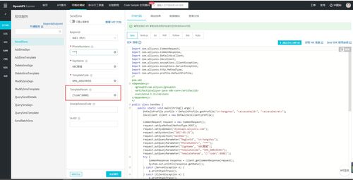 解析阿里云短信服務(wù) isv.invalid json param 錯(cuò)誤及信息系統(tǒng)集成應(yīng)對(duì)策略